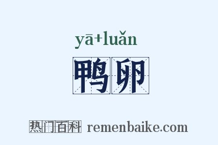 鸭卵是什么意思的图片